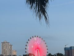 -南宁南湖公园