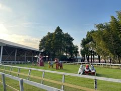 -太阳岛度假酒店