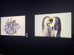 -罗红摄影艺术馆