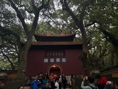 -普陀山风景名胜区-法雨禅寺