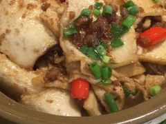 石锅豆腐片-张鲫鱼家常菜