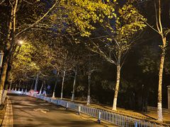 -安徽省体育中心羽毛球馆(芜湖路店)