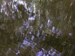 -郑州植物园