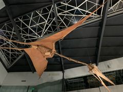 -湖南省地质博物馆