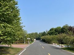 -同里国家湿地公园