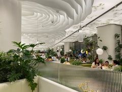 -大树餐厅(朝阳大悦城店)
