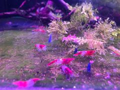 -三旗百汇商品城