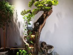 -蓉城小厨·四川味道(浙港国际店)