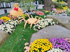 -上海共青森林公园