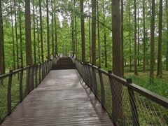 -黄海国家森林公园