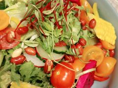 -紫光园·烤鸭·北京菜(劲松店)