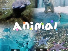 -珠海长隆海洋王国