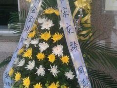 -宋庆龄陵园