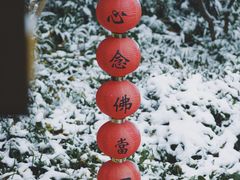 -杭州上天竺法喜讲寺