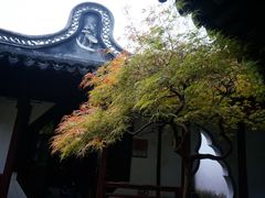 -上海醉白池公园