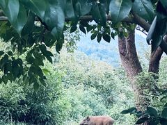 -敬亭山风景名胜区
