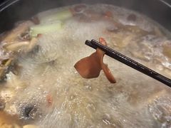 -滇野云南野生菌餐厅(陕西南路店)