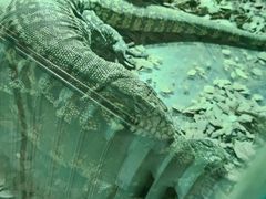 -海合安武汉极地海洋公园