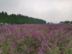 -嘉北郊野公园