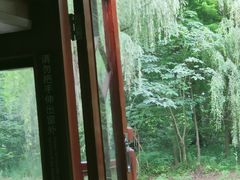 -同里国家湿地公园