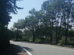 -火炉山森林公园