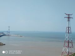 -洋山深水港