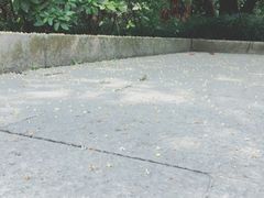 -杭州少年儿童公园