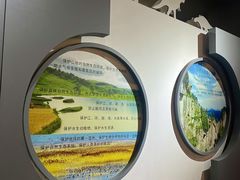 -中国西峡恐龙遗迹园