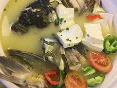 鱼头炖豆腐-乐口福家常菜馆(古庸路店)