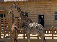 -鄂尔多斯野生动物园