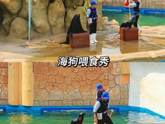 -秦皇岛乐岛海洋王国