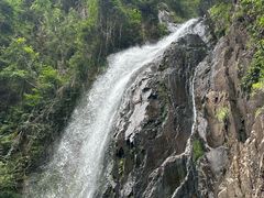 -姑婆山旅游区