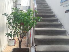 -沏点Trattoria意大利餐厅(新街口店)