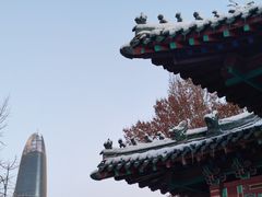 -趵突泉景区