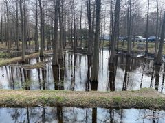 -广富林郊野公园