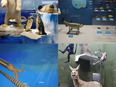 -国家自然博物馆