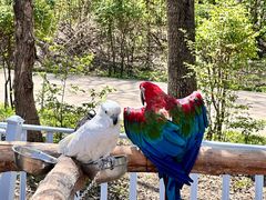 -哈尔滨北方森林动物园