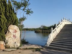 -大港湿地公园
