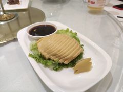 素鲍鱼-光明邨大酒家(汇阳广场店)