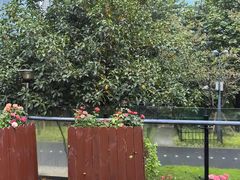 -浦江二号·独栋江景餐厅(滨江大道店)
