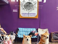 -HANA COFFEE(长寿路店)