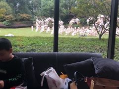 -常州环球恐龙城维景国际大酒店