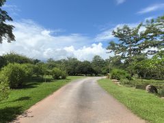 -中国科学院西双版纳热带植物园