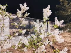 -中国政法大学(昌平校区)