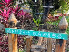 -西双版纳傣族园