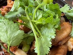 鸡鸡蛙蛙中煲-川香煲(茅台路店)