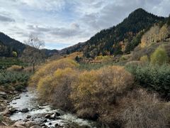 -芦芽山旅游度假区