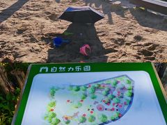 -福田红树林生态公园