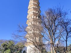 -崇圣寺三塔文化旅游区