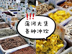 -蒲河大集